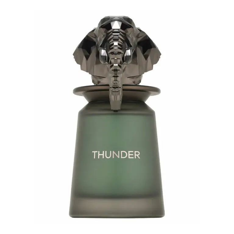 Thunderstorm 100 ml French Avenue