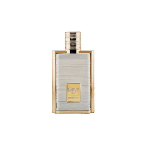 Secret Musk 100ML karus